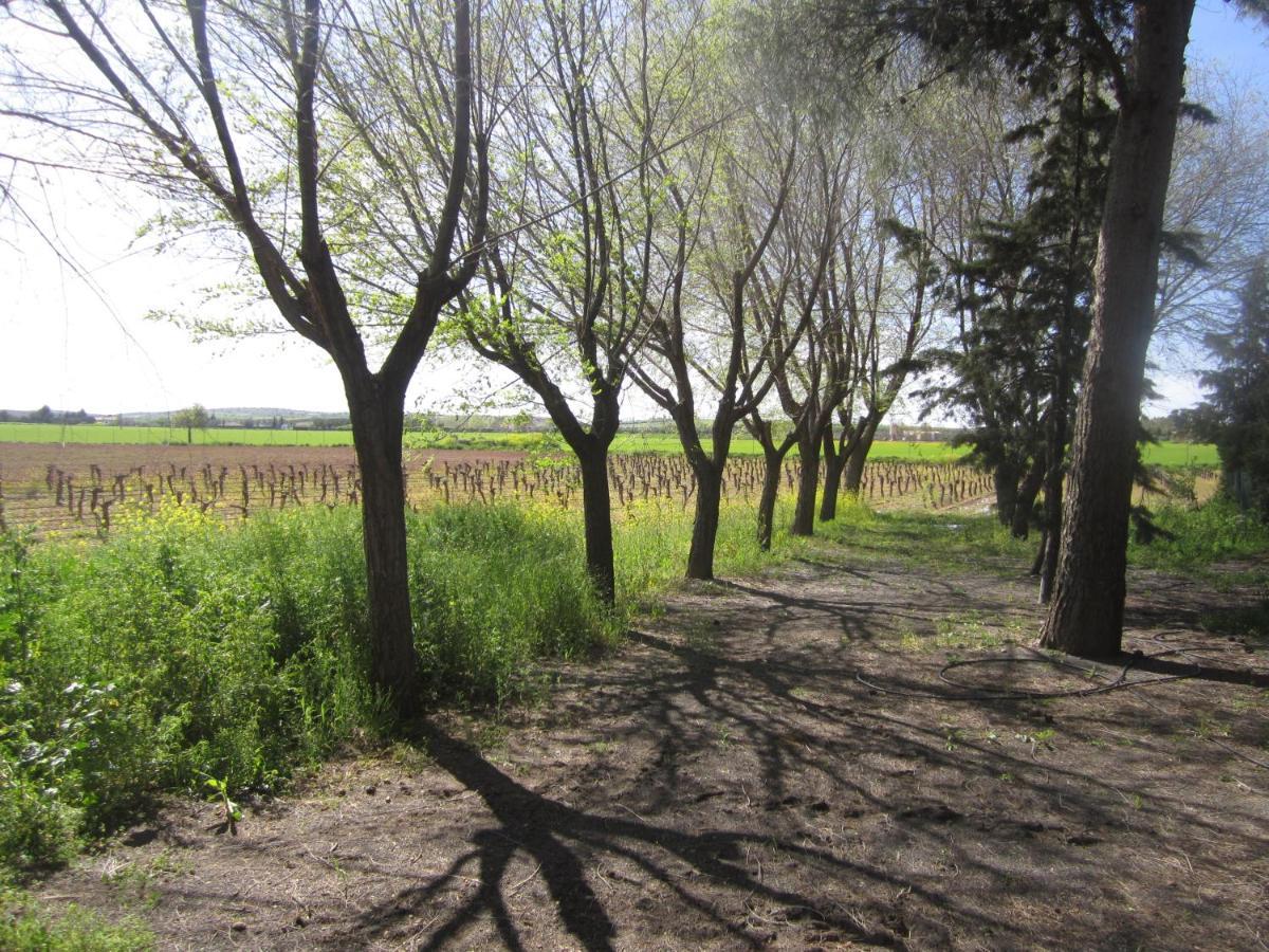 Casa Finca Rural La Huerta Almagro Buitenkant foto